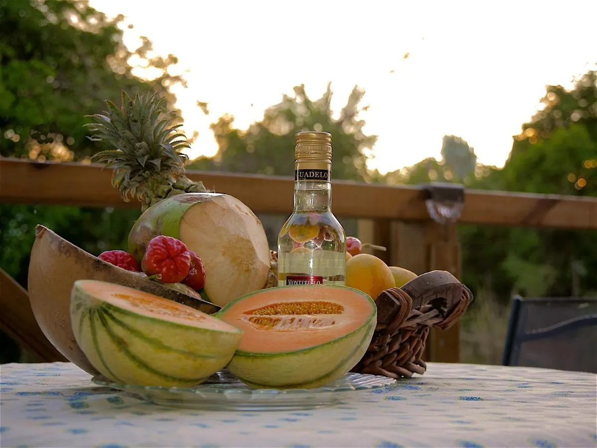 Evasion Guadeloupe Hotel Saint-Francois  Guadeloupe