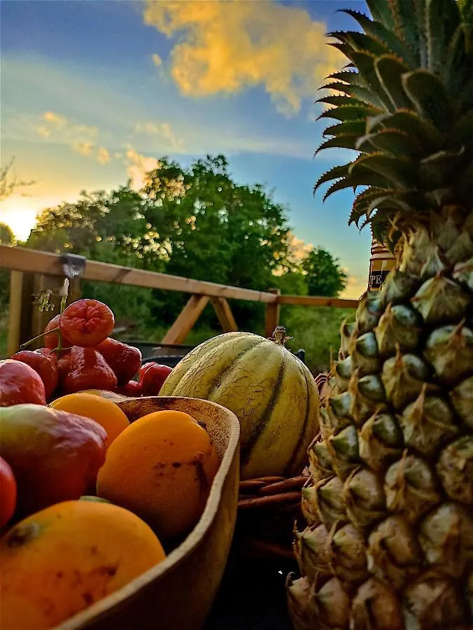 Evasion Guadeloupe Hotel Saint-Francois  Saint-Francois (Grande-Terre)